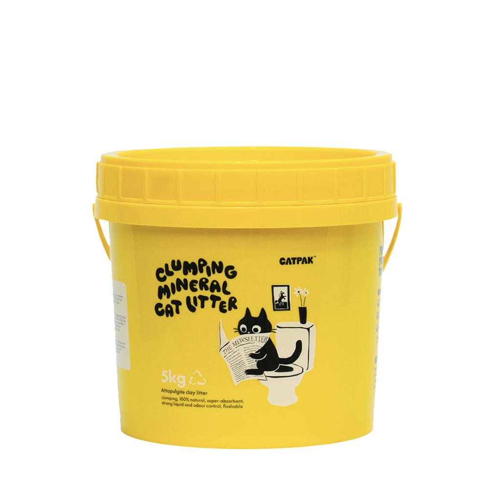 Auto Litter Box & Litter Package