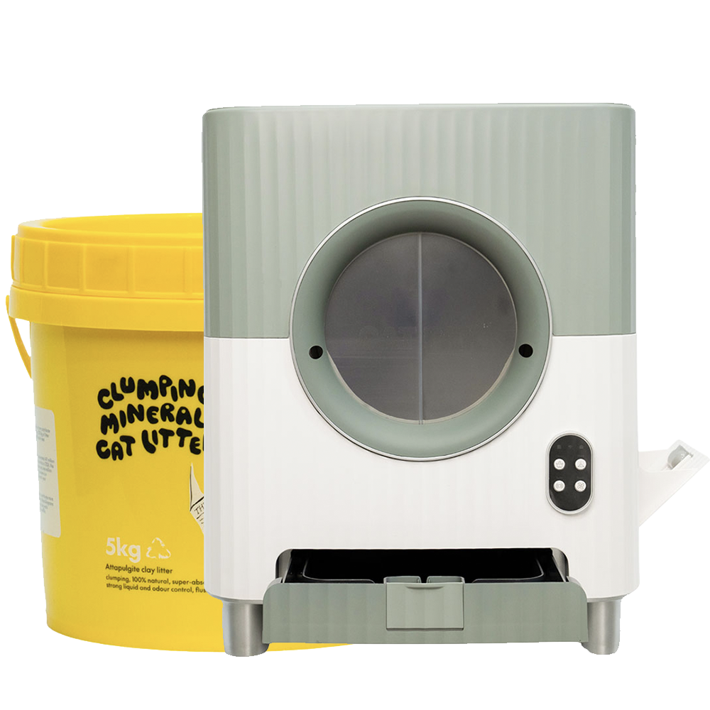 Auto Litter Box & Litter Package