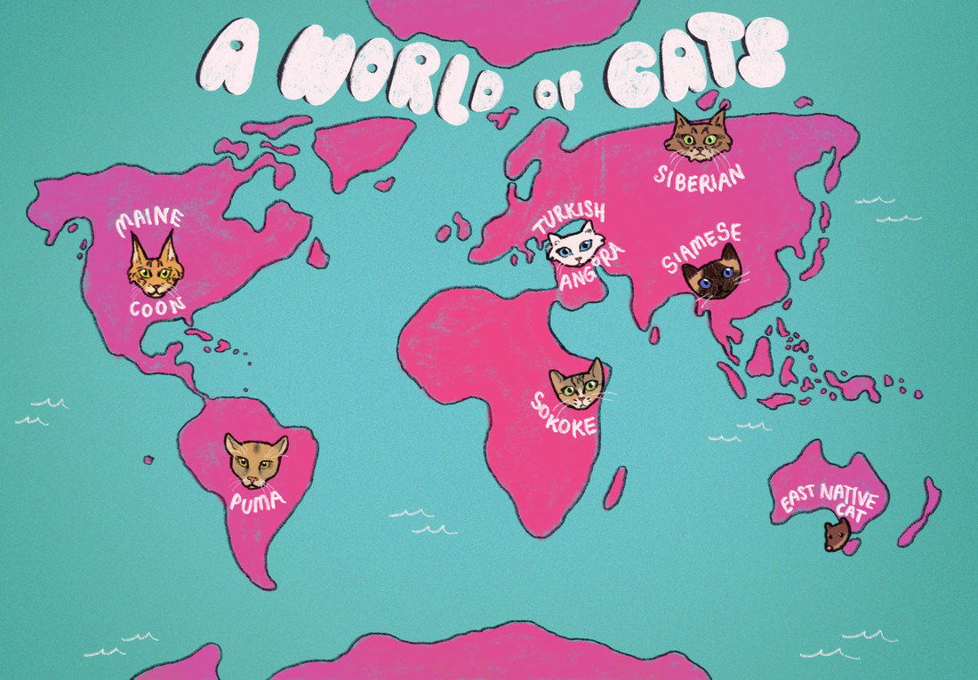 Cats Around the World
